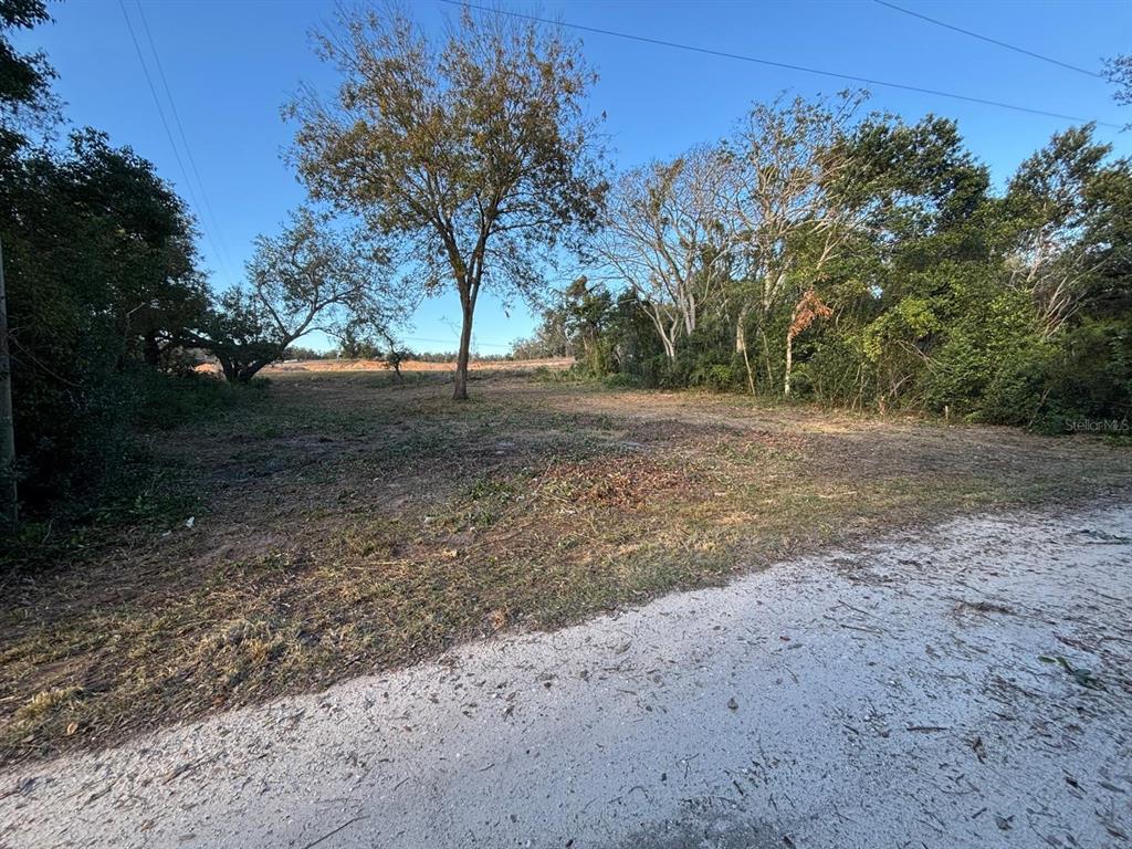 0 Basin Street Clermont, FL 34715 - Photo 3 of 4 a view of a yard with a tree