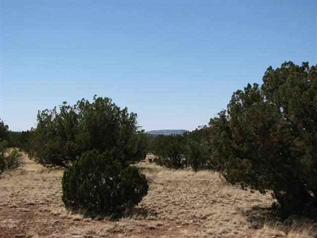 7 T14n R16e:16 Lots Heber, AZ 85928 - Photo 1 of 4