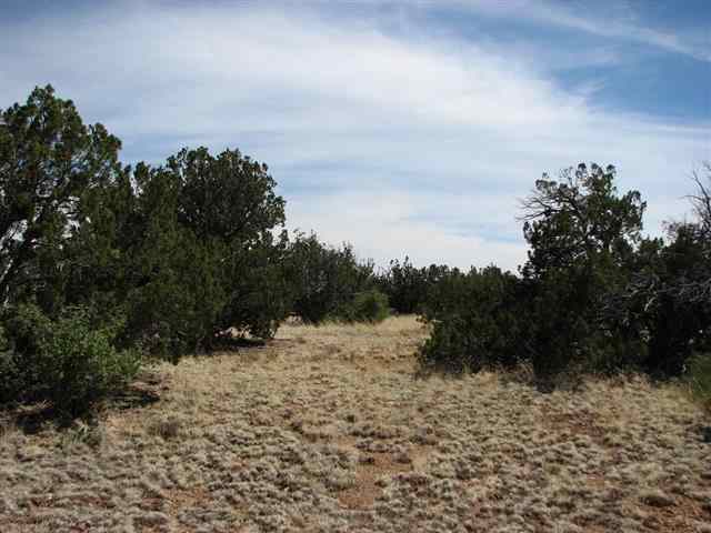 7 T14n R16e:16 Lots Heber, AZ 85928 - Photo 2 of 4