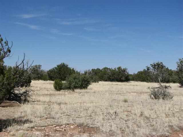 7 T14n R16e:16 Lots Heber, AZ 85928 - Photo 3 of 4