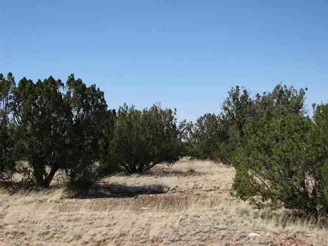 7 T14n R16e:16 Lots Heber, AZ 85928 - Photo 4 of 4