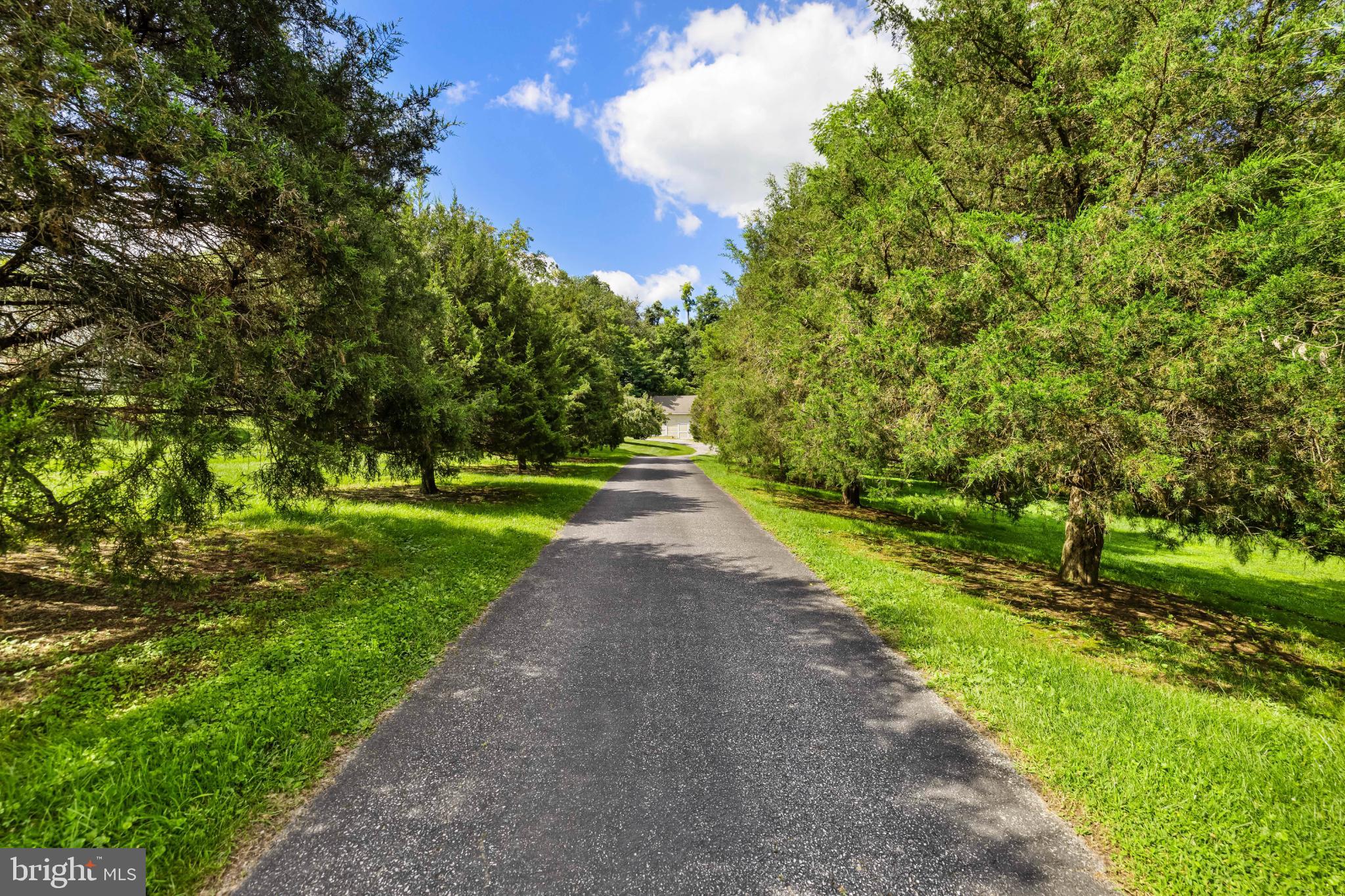 2212 River Bend Court White Hall, MD 21161 - Photo 39 of 40 Serene tree-lined driveway invites tranquility.