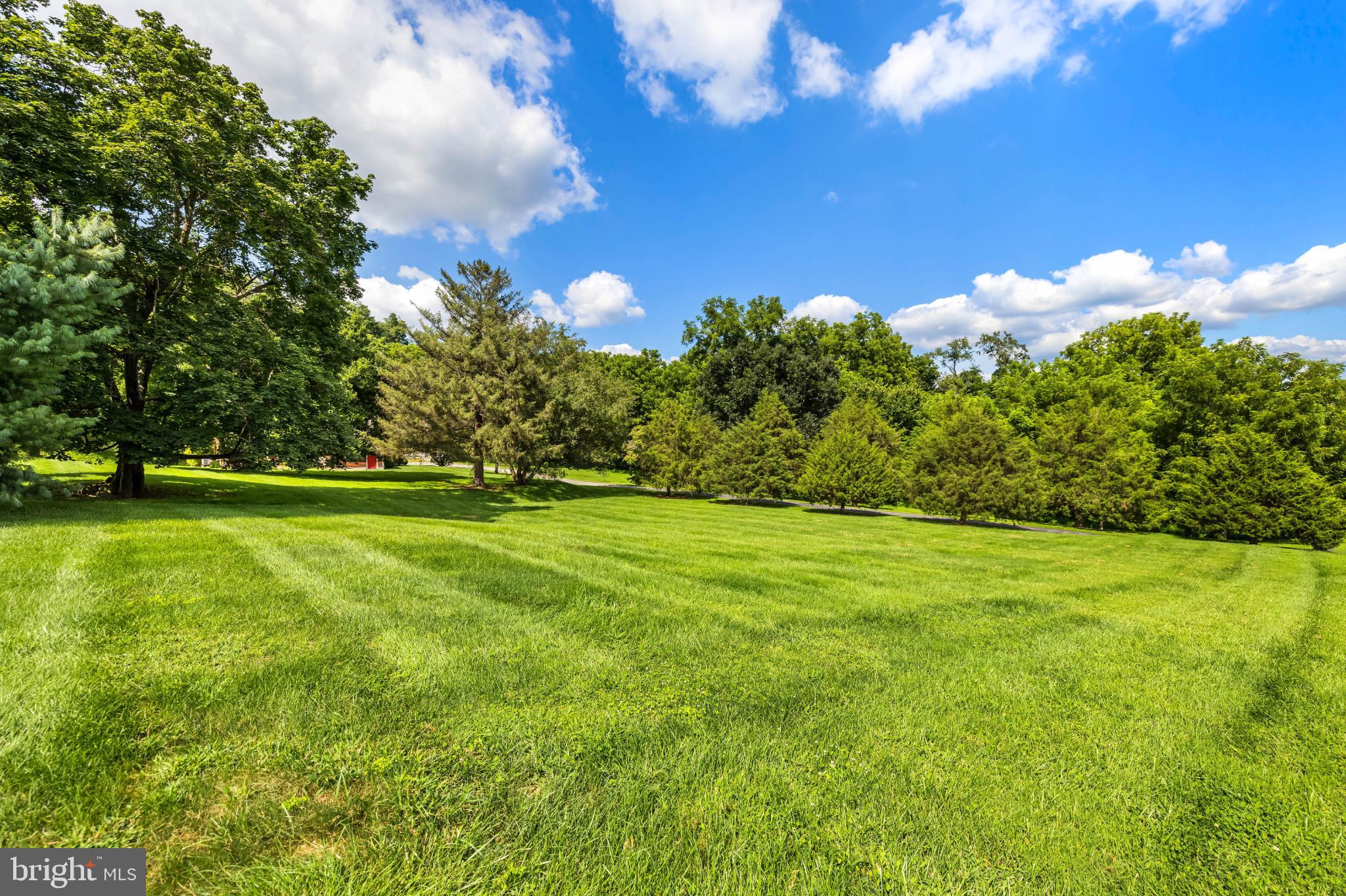 2212 River Bend Court White Hall, MD 21161 - Photo 40 of 40 Lush green landscape under a bright sky.