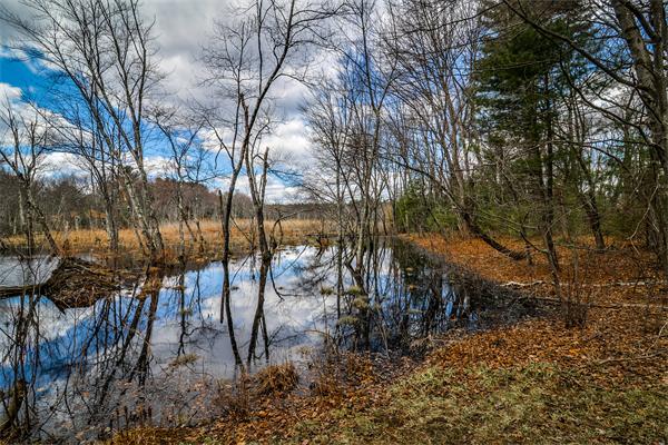 189 White Pond Road Hudson, MA 01749 - Photo 29 of 30 Gallery Image 29