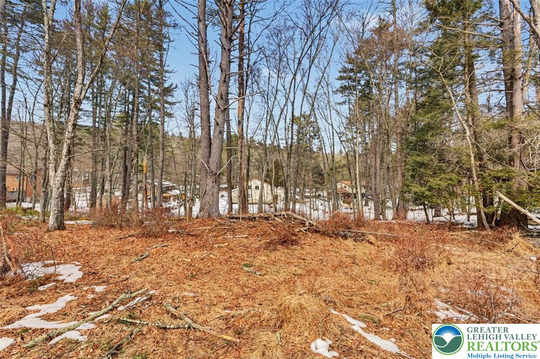 108 Mink Lane Bushkill, PA 18324 - Photo 31 of 33 a view of a yard with trees