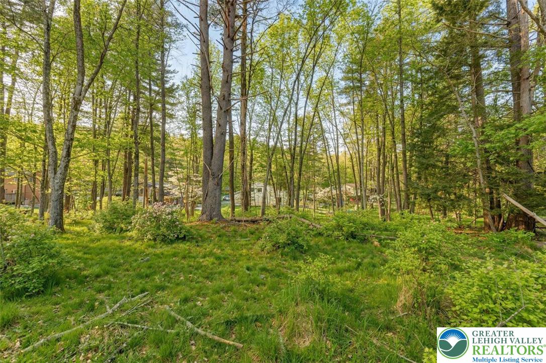 108 Mink Lane Bushkill, PA 18324 - Photo 32 of 33 a view of garden