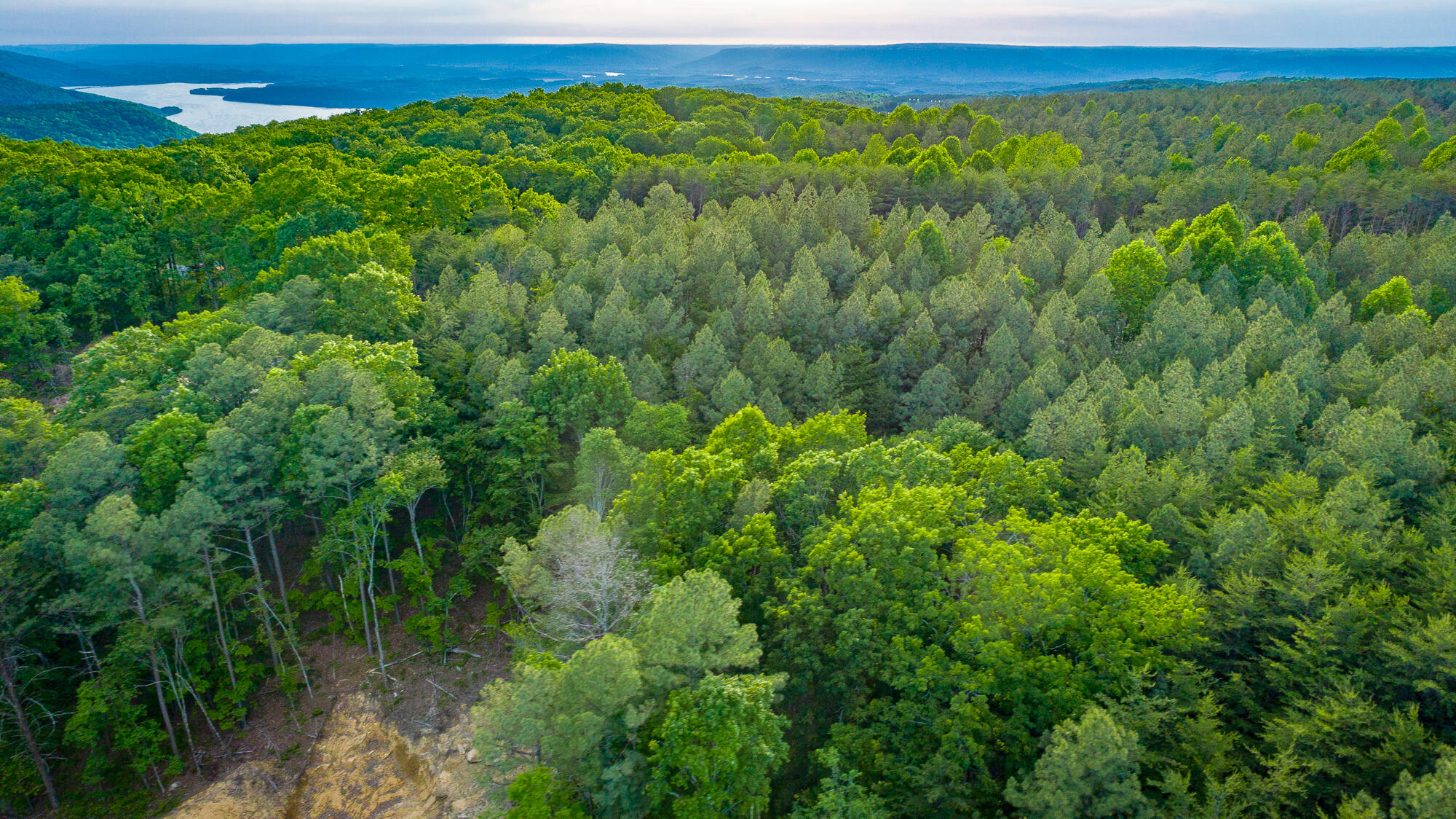 0 Cannon Way, Unit LOT 1317 Guild, TN 37340 - Photo 31 of 99 0 Cannon Way - Lot 1317 HD-15