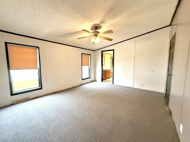 9 Swallow Lane Beecher, IL 60401 - Photo 16 of 20 an empty room with windows and entrance