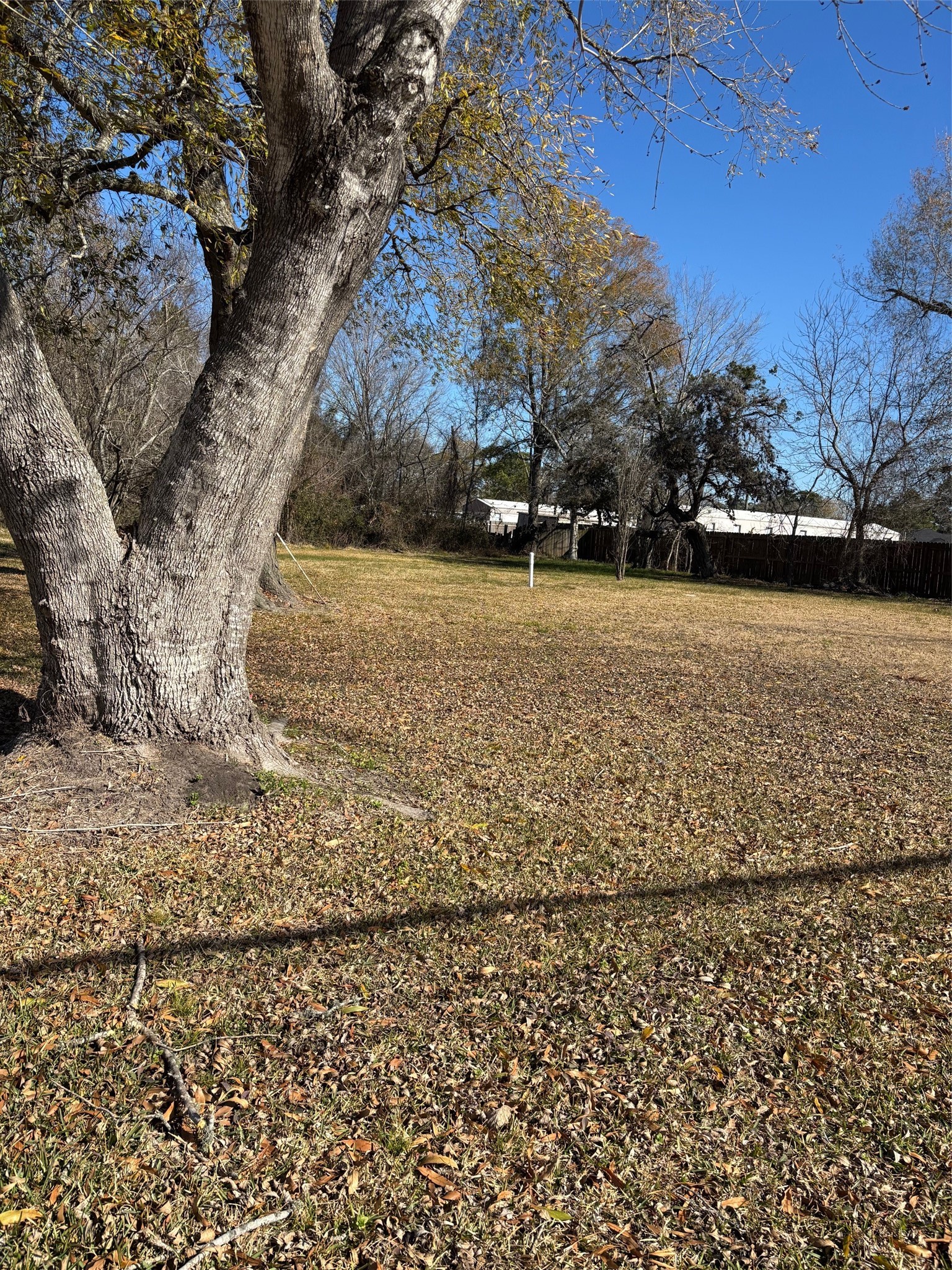 3015 Massey Tompkins Road Baytown, TX 77521 - Photo 3 of 6