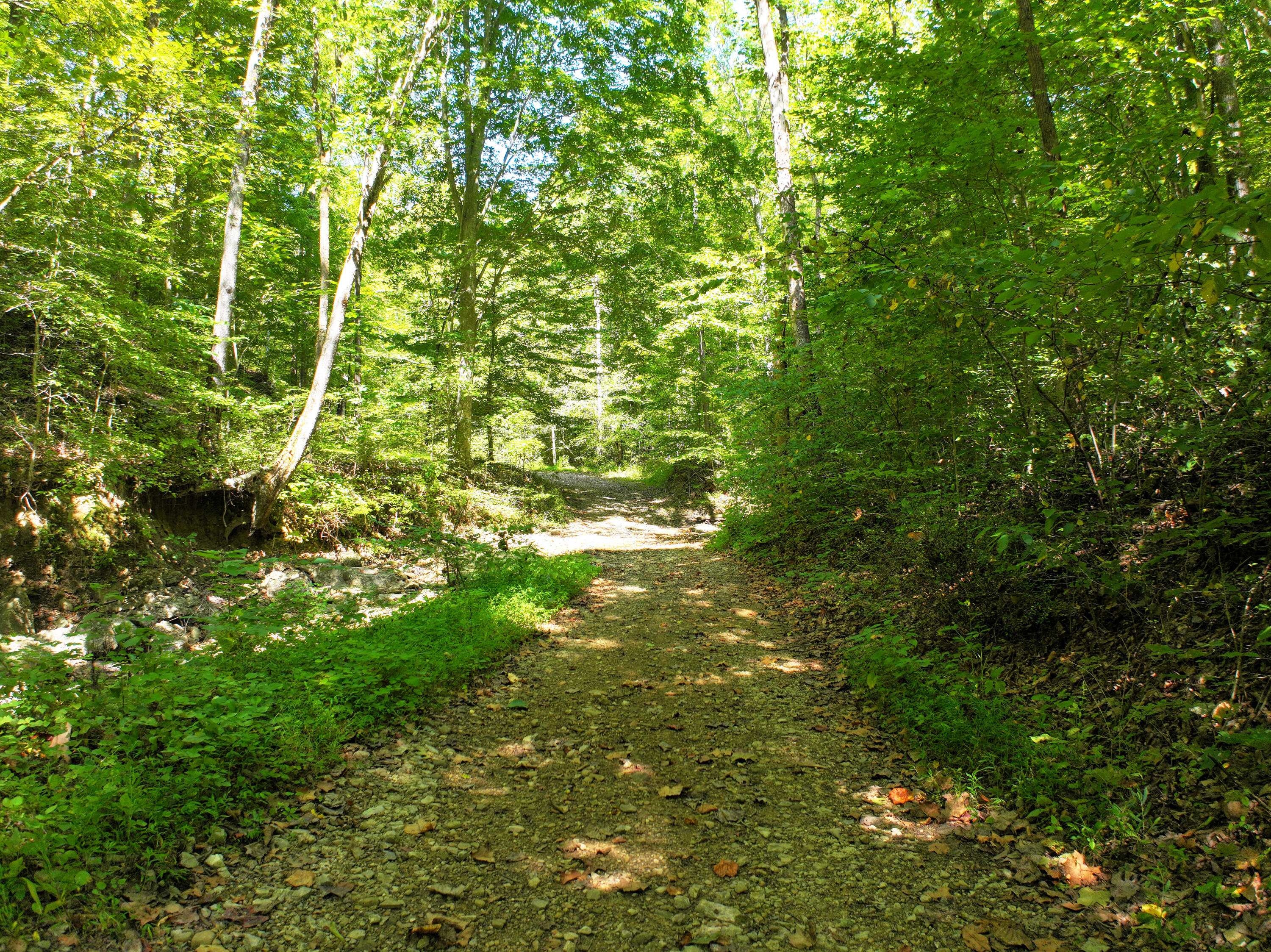 460.2 Cow Creek Road Ravenna, KY 40472 - Photo 44 of 46 The road!