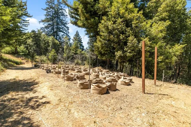 a view of a yard covered in snow