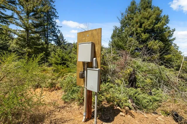 a pole with trees in front of it