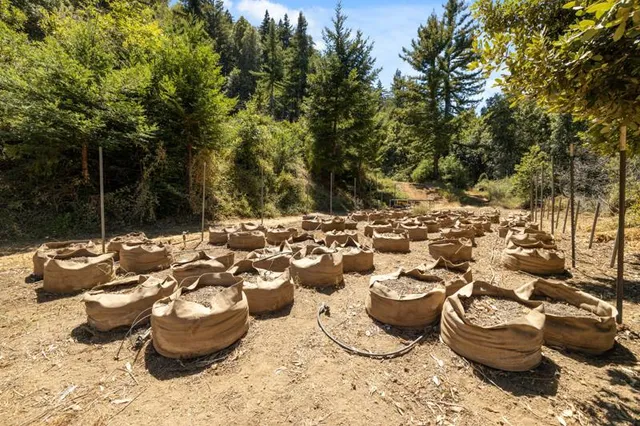 a view of a backyard of the house
