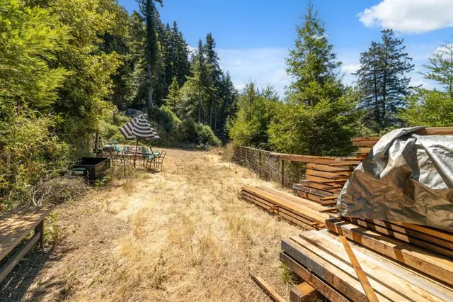 a view of a yard with plants and trees