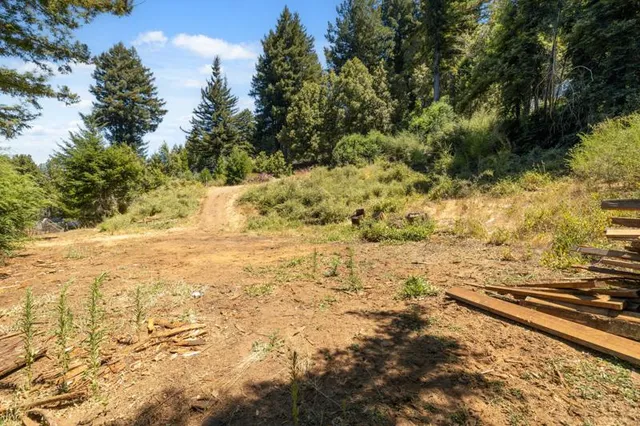 a view of ocean view with large trees
