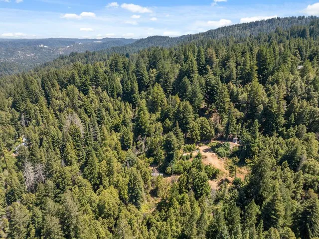 a view of a city with lush green forest