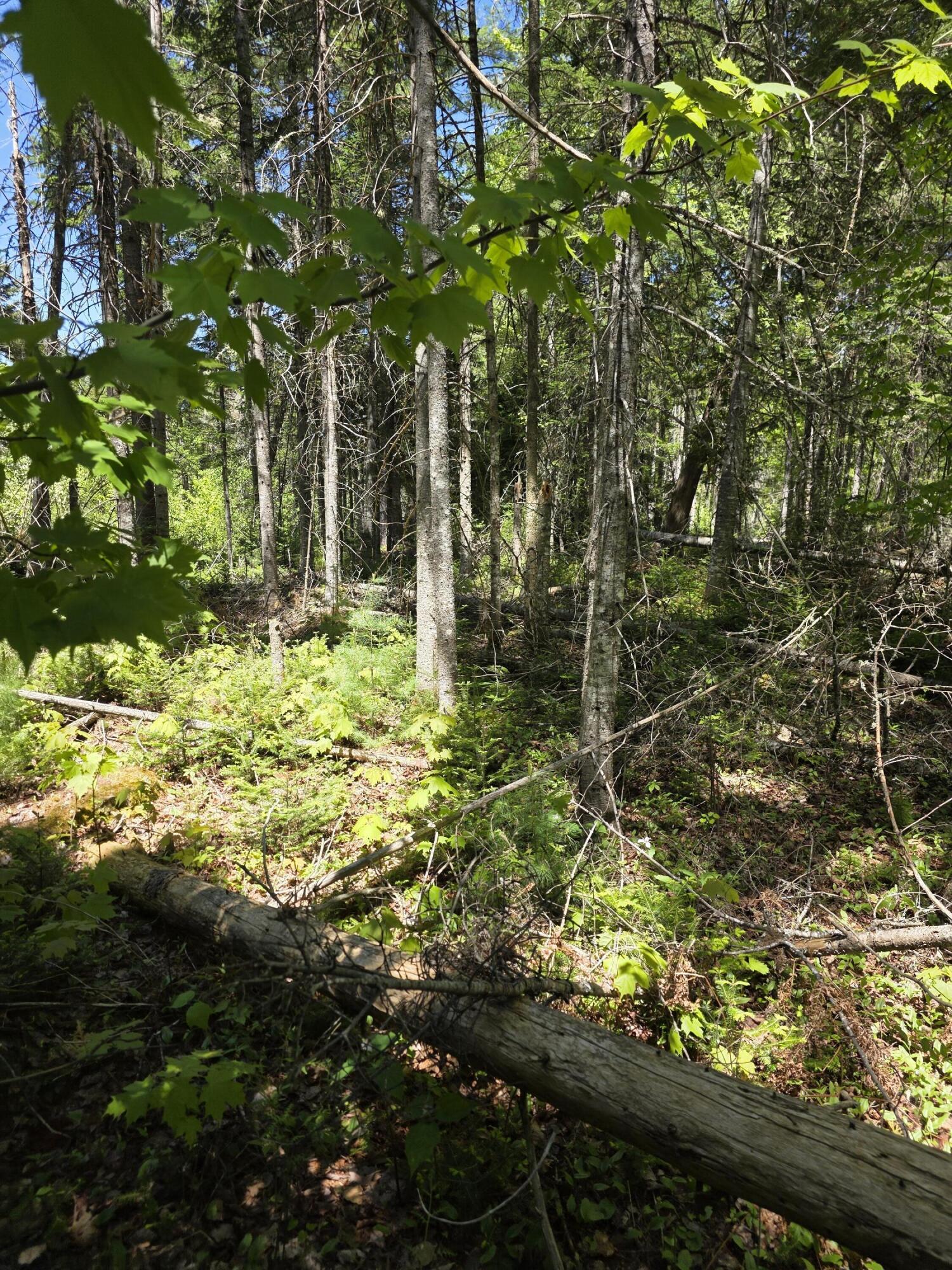 8-l 4 Prescott Pond Road West Forks, ME 04985 - Photo 8 of 9 13896 (1)