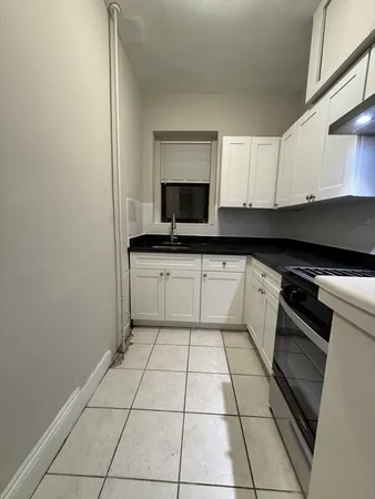 a kitchen with a sink a stove and cabinets