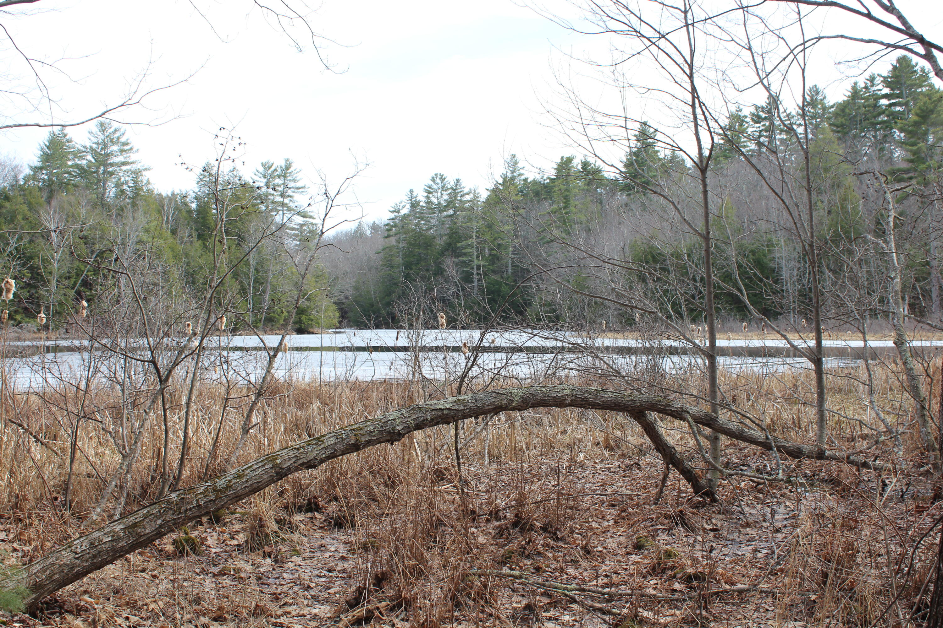 Lot 00 Knight Farm Road Kennebunk, ME 04043 - Photo 12 of 20 Views of Alewive Pond!