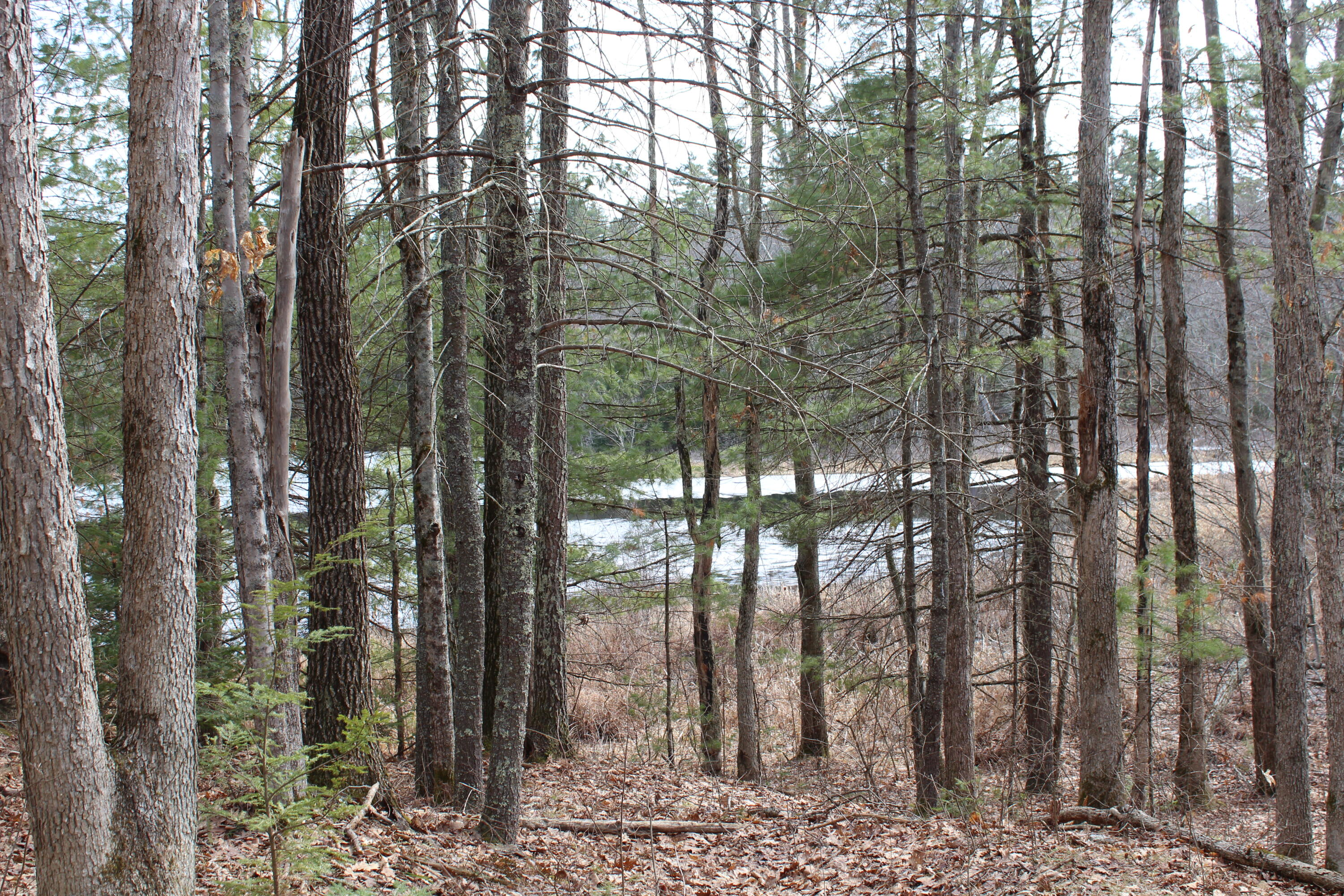 Lot 00 Knight Farm Road Kennebunk, ME 04043 - Photo 13 of 20 Views of Alewive Pond!