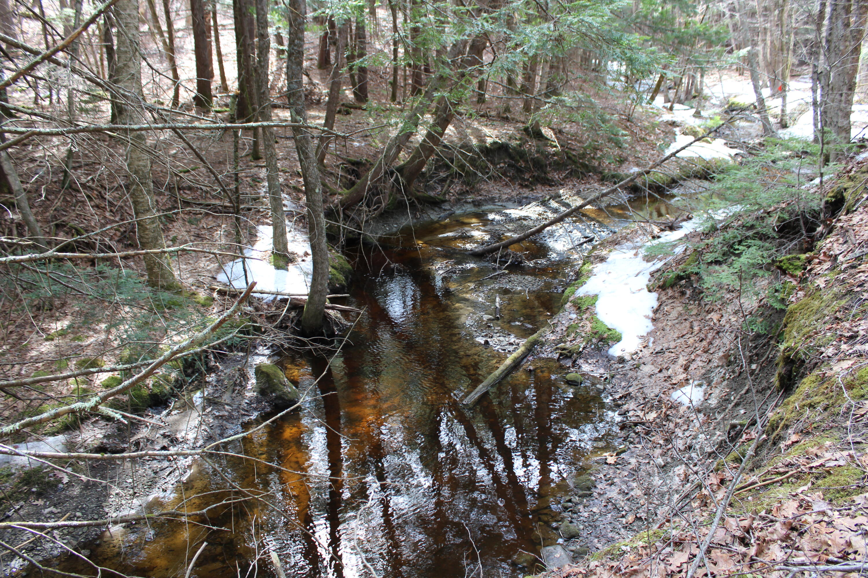 Lot 00 Knight Farm Road Kennebunk, ME 04043 - Photo 15 of 20 Frontage on Two Farm Streams