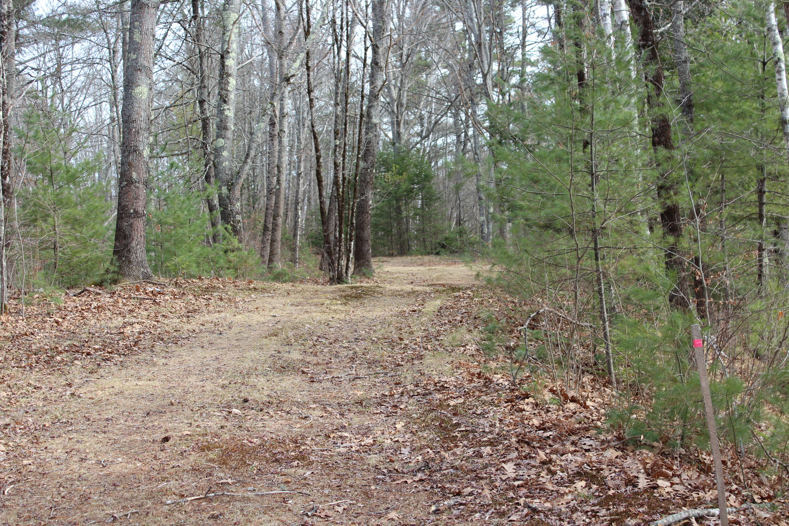 Lot 00 Knight Farm Road Kennebunk, ME 04043 - Photo 16 of 20 Level Areas