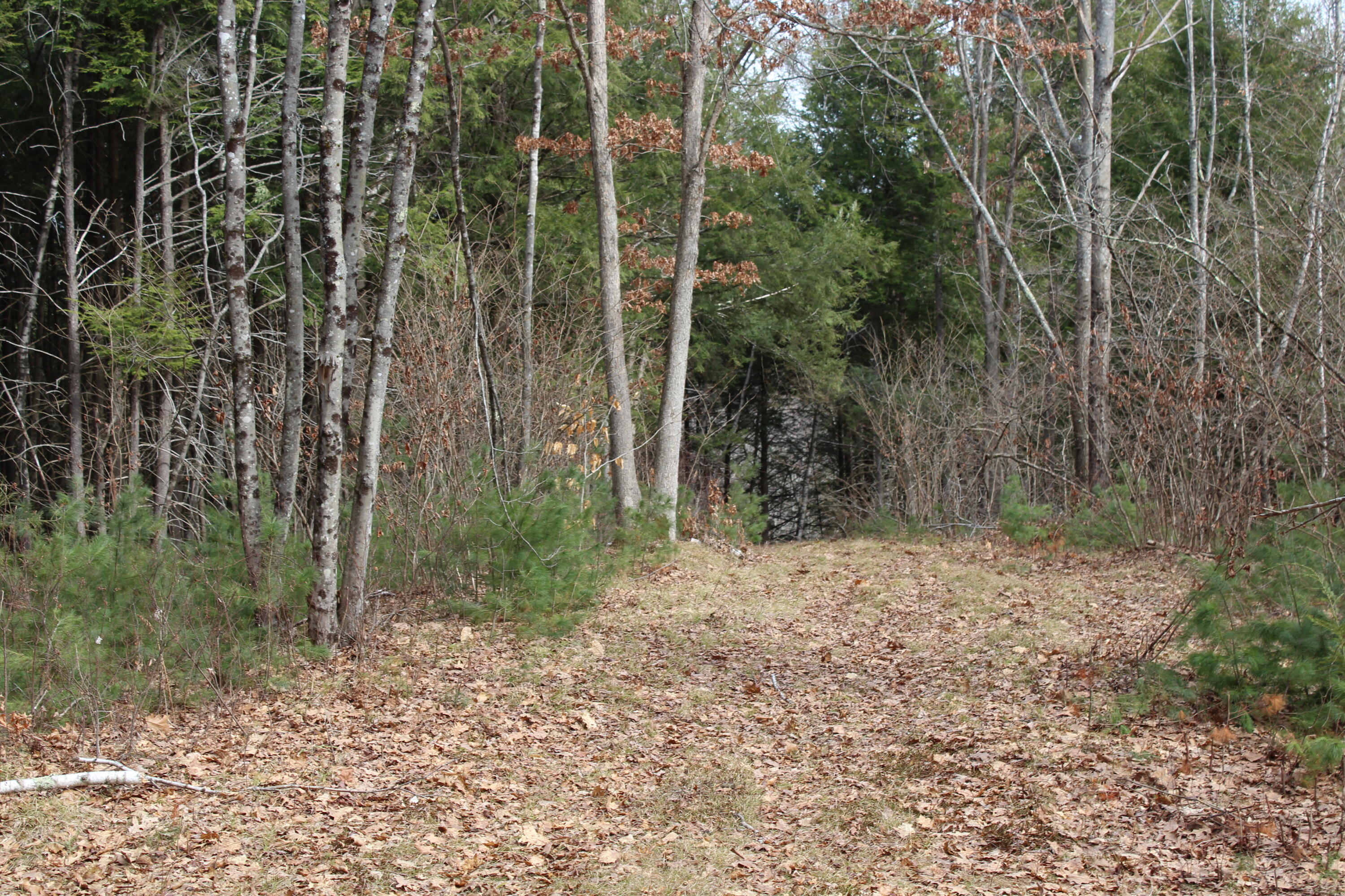 Lot 00 Knight Farm Road Kennebunk, ME 04043 - Photo 17 of 20 Great Location for a Dream Home!