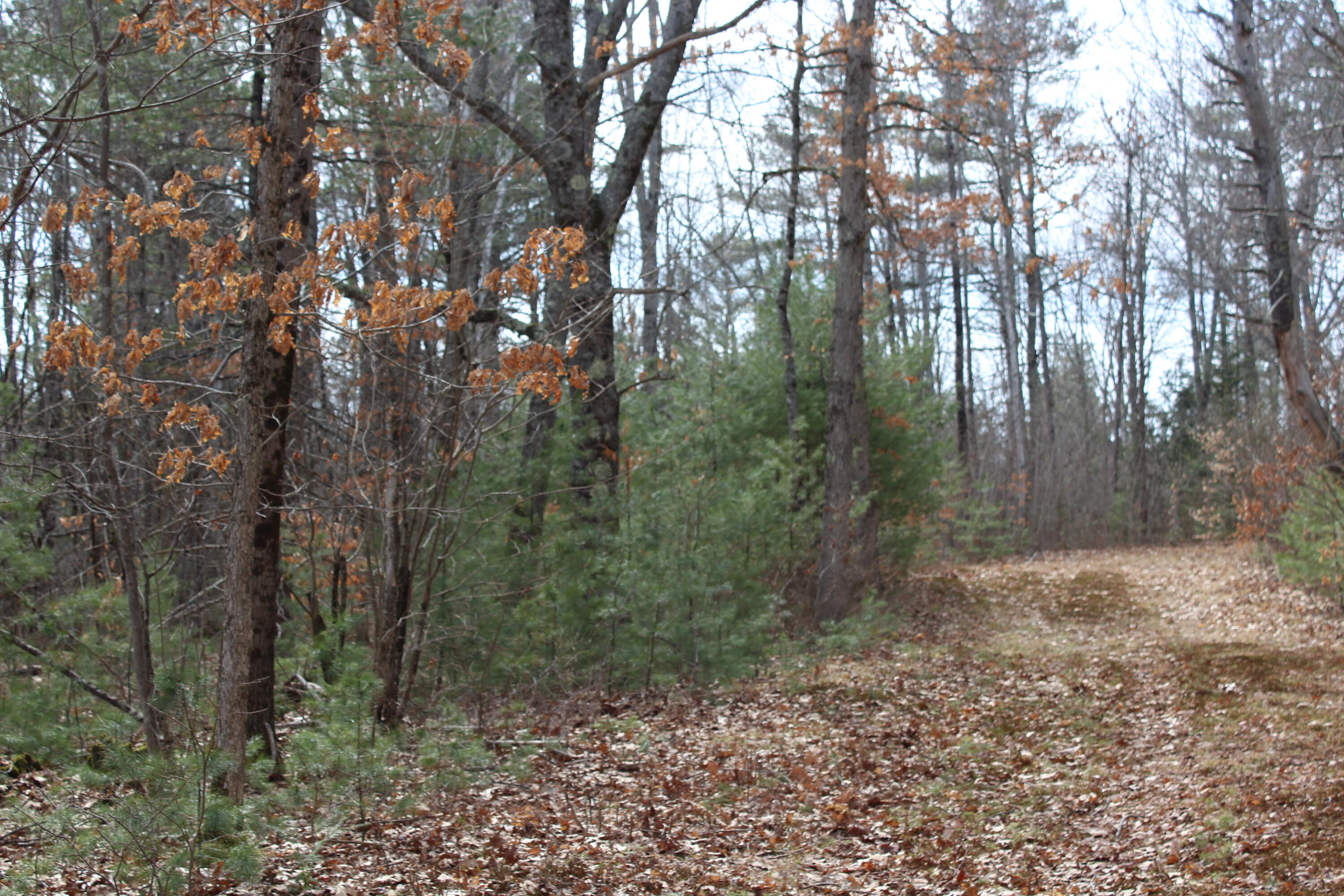 Lot 00 Knight Farm Road Kennebunk, ME 04043 - Photo 18 of 20 Easily Accessible Farm Road
