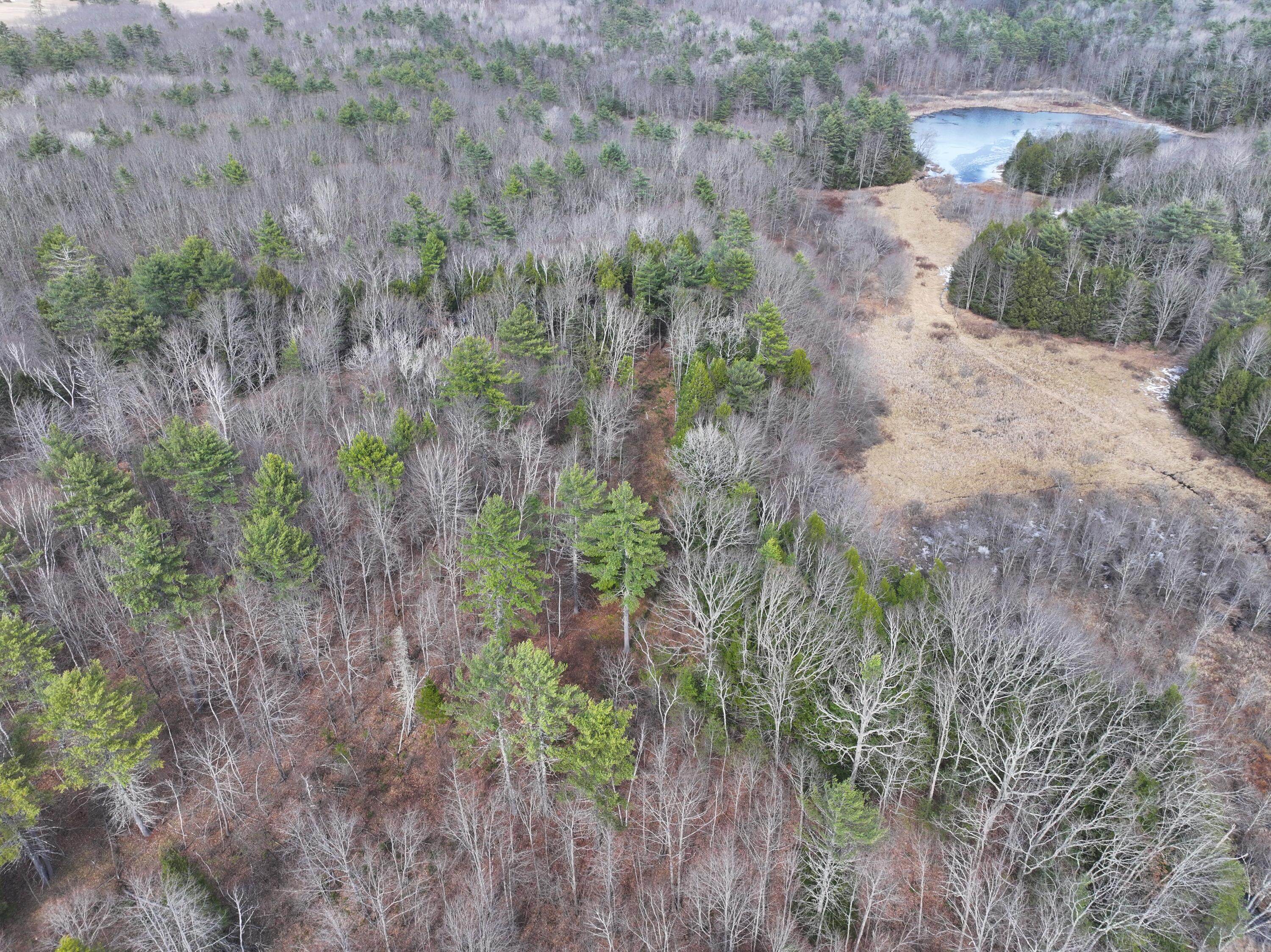 Lot 00 Knight Farm Road Kennebunk, ME 04043 - Photo 19 of 20 18.85 Acres of Pristine Maine Woods!