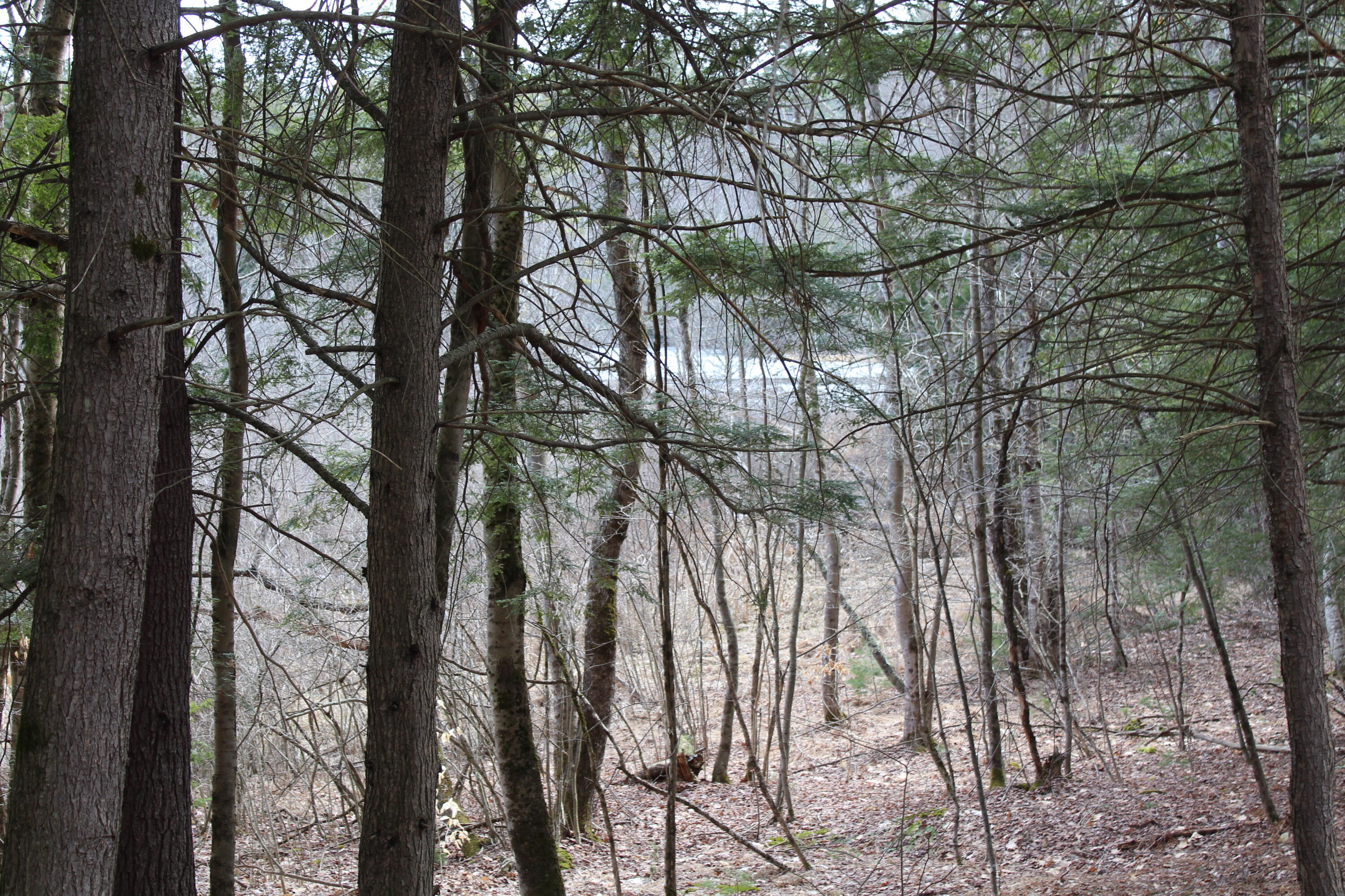 Lot 00 Knight Farm Road Kennebunk, ME 04043 - Photo 20 of 20 Abuts Conservation