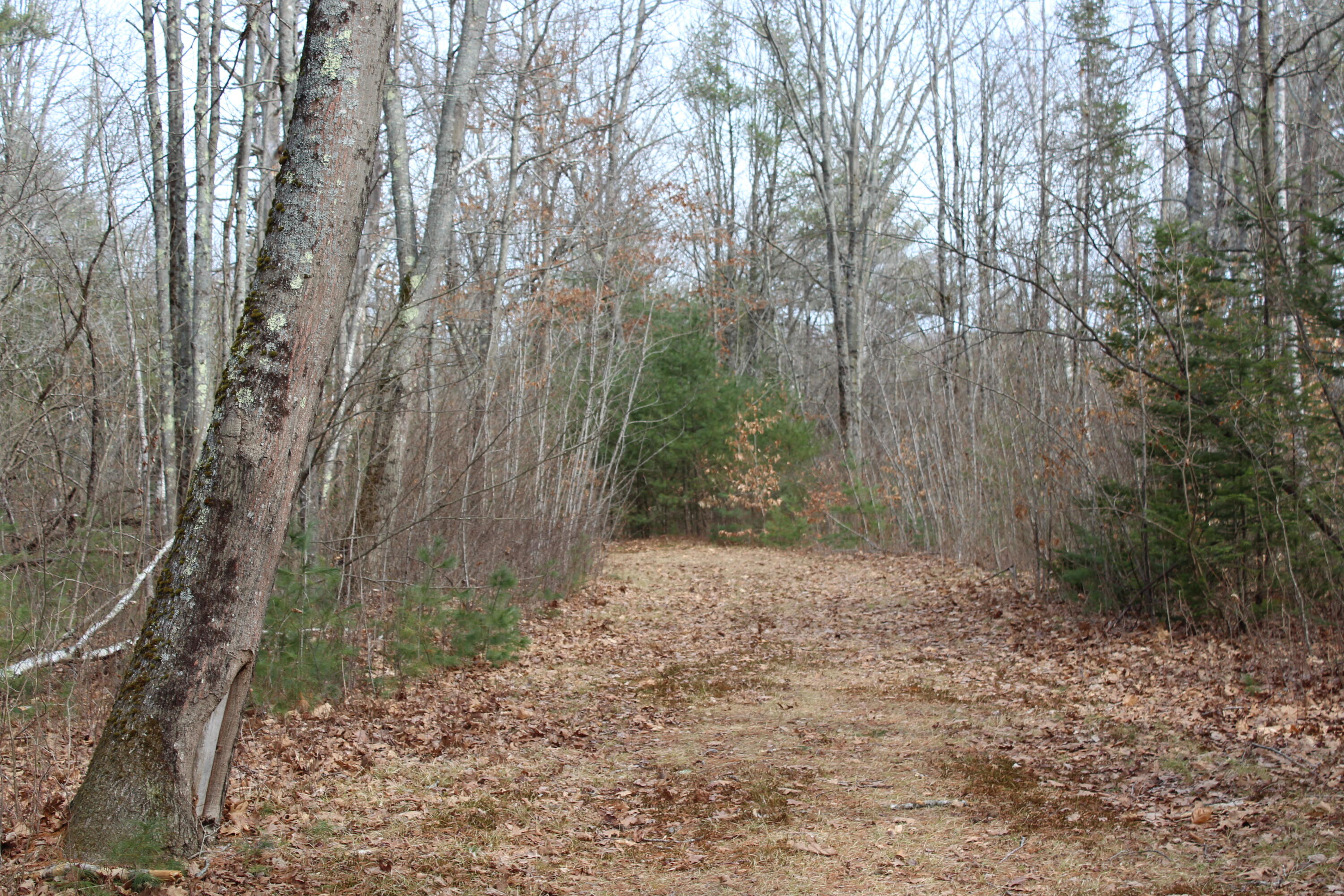 Lot 00 Knight Farm Road Kennebunk, ME 04043 - Photo 2 of 20 Easily Accessible Farm Road