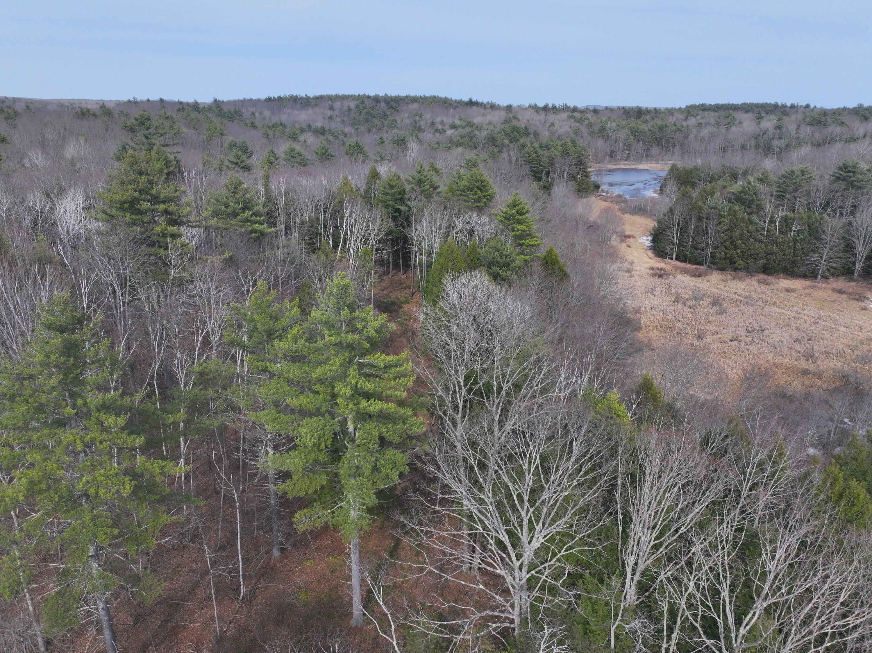 Lot 00 Knight Farm Road Kennebunk, ME 04043 - Photo 4 of 20 18.85 Acres of Pristine Maine Woods!