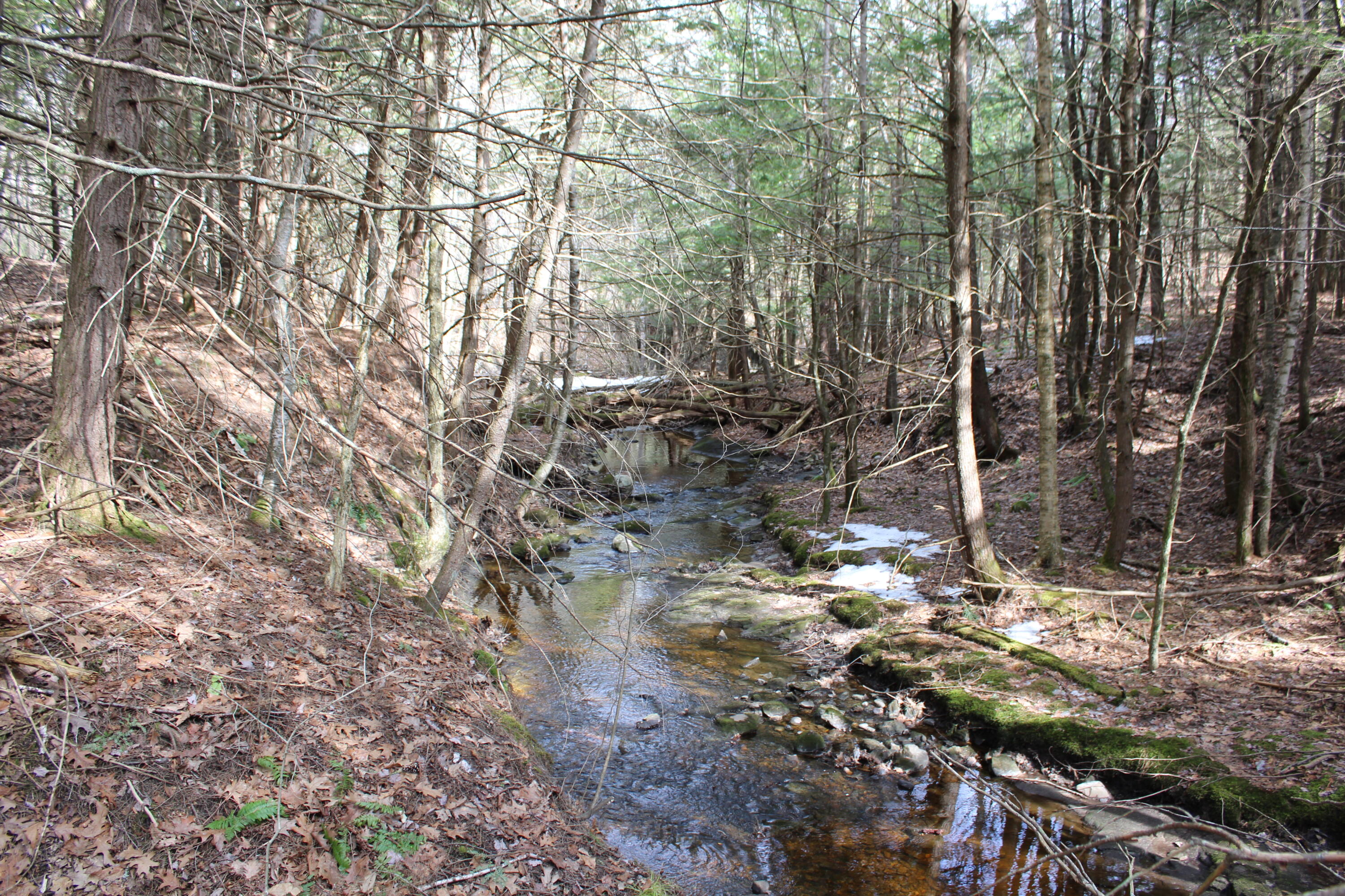 Lot 00 Knight Farm Road Kennebunk, ME 04043 - Photo 6 of 20 Frontage on Two Farm Streams