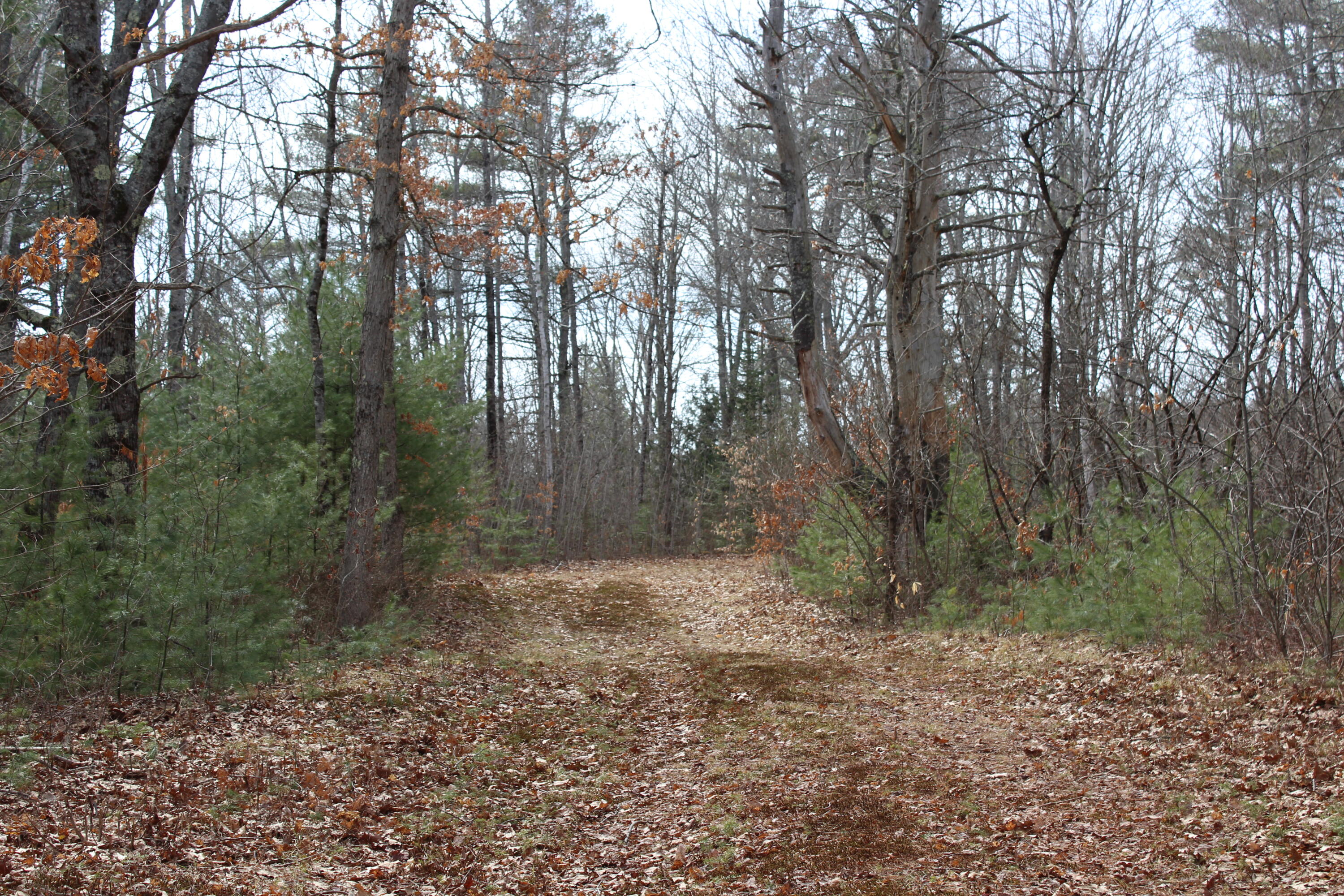 Lot 00 Knight Farm Road Kennebunk, ME 04043 - Photo 7 of 20 Easily Accessible Farm Road