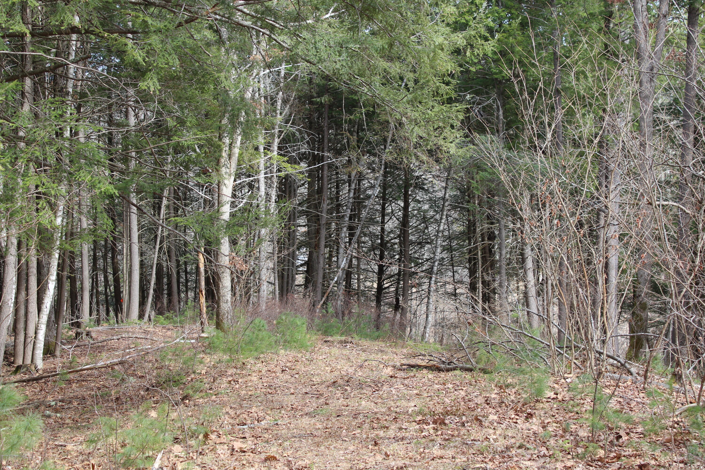 Lot 00 Knight Farm Road Kennebunk, ME 04043 - Photo 8 of 20 Level Areas