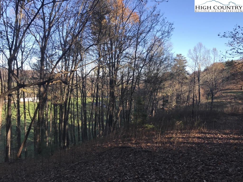 0 Mozelles Road Purlear, NC 28665 - Photo 11 of 21 a view of outdoor space with green space