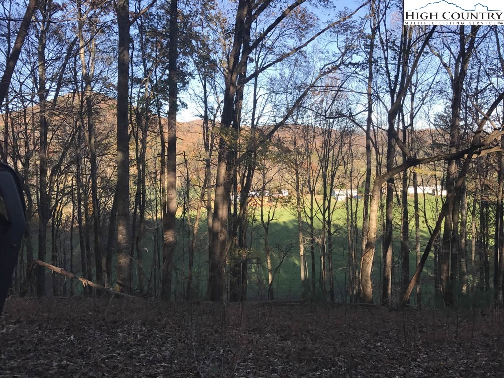 0 Mozelles Road Purlear, NC 28665 - Photo 12 of 21 a view of backyard with green space