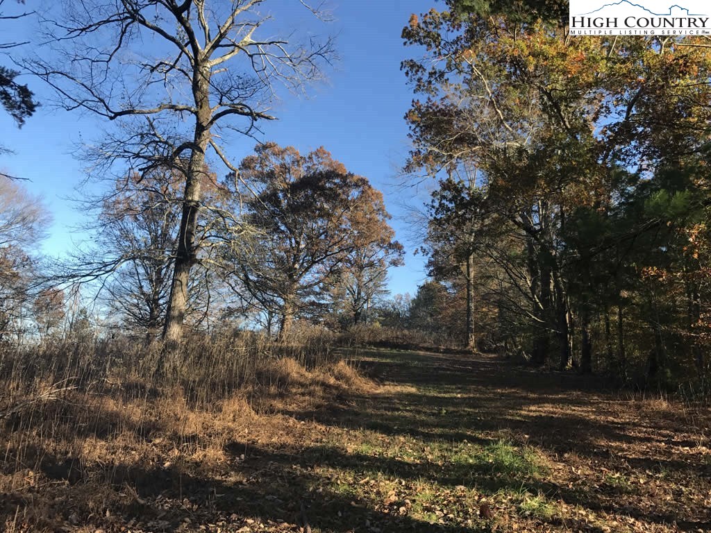 0 Mozelles Road Purlear, NC 28665 - Photo 14 of 21 a view of yard with green space