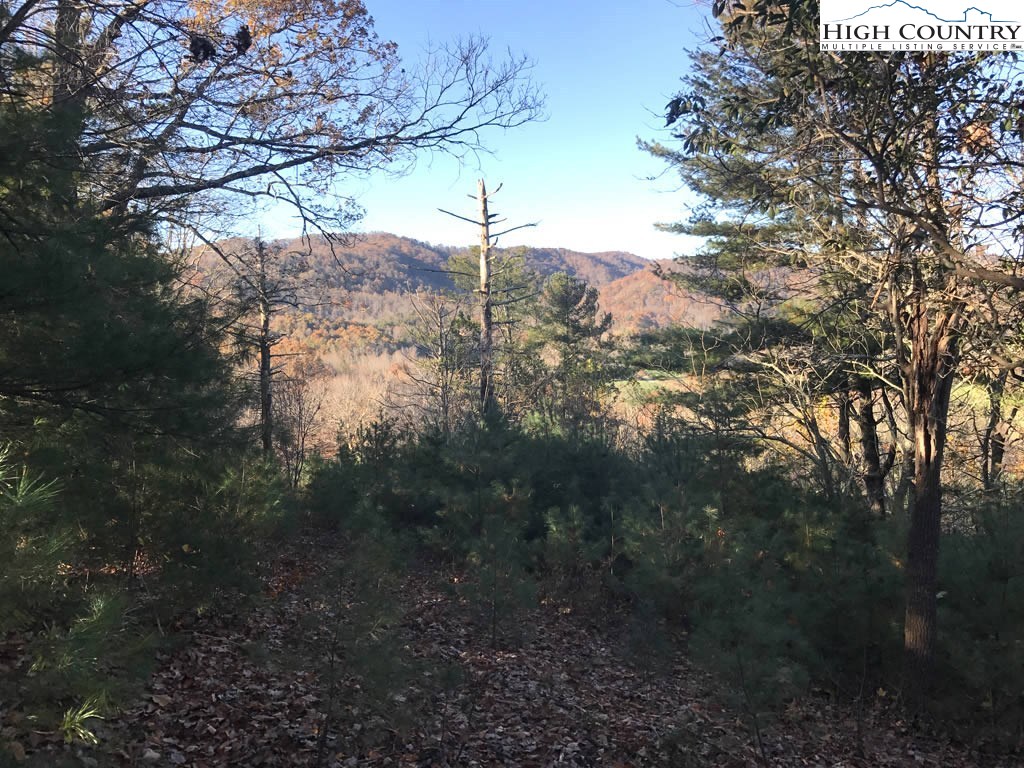 0 Mozelles Road Purlear, NC 28665 - Photo 15 of 21 a view of a forest of a house