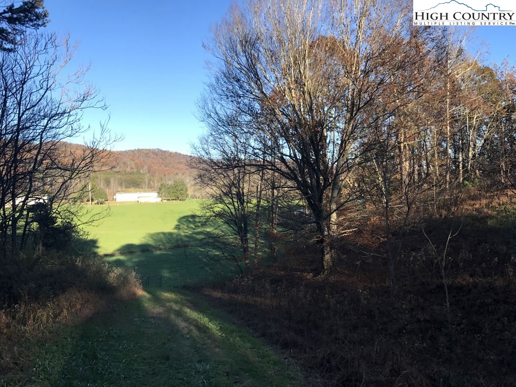 0 Mozelles Road Purlear, NC 28665 - Photo 18 of 21 a view of a yard with a tree