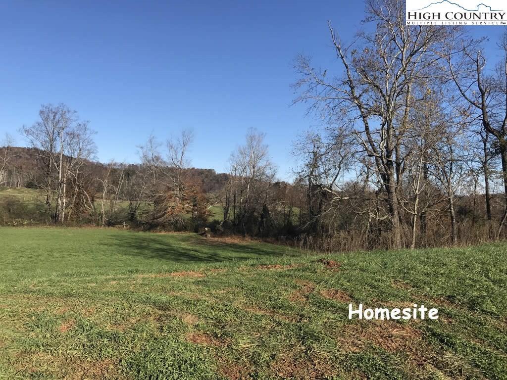 0 Mozelles Road Purlear, NC 28665 - Photo 6 of 21 a view of a field with an trees