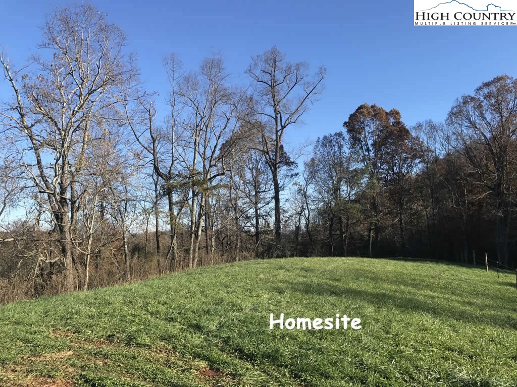 0 Mozelles Road Purlear, NC 28665 - Photo 7 of 21 a view of backyard with green space