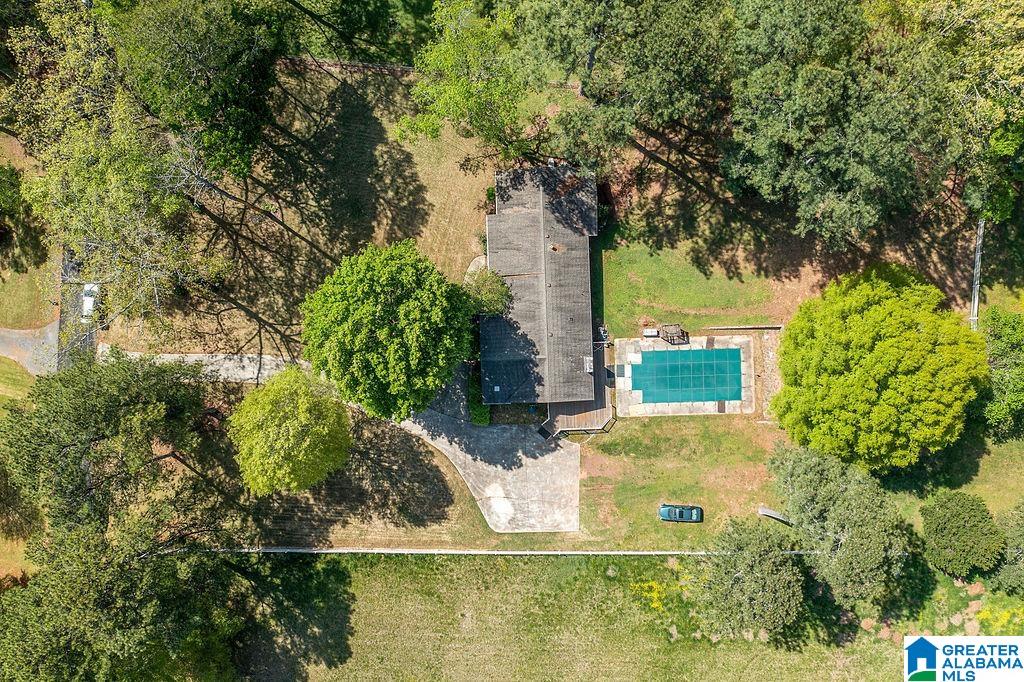 102 Burgess Drive Springville, AL 35146 - Photo 34 of 46