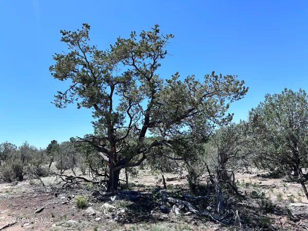 $130,000 | J Peaceful Hill Road, Seligman, AZ 86337