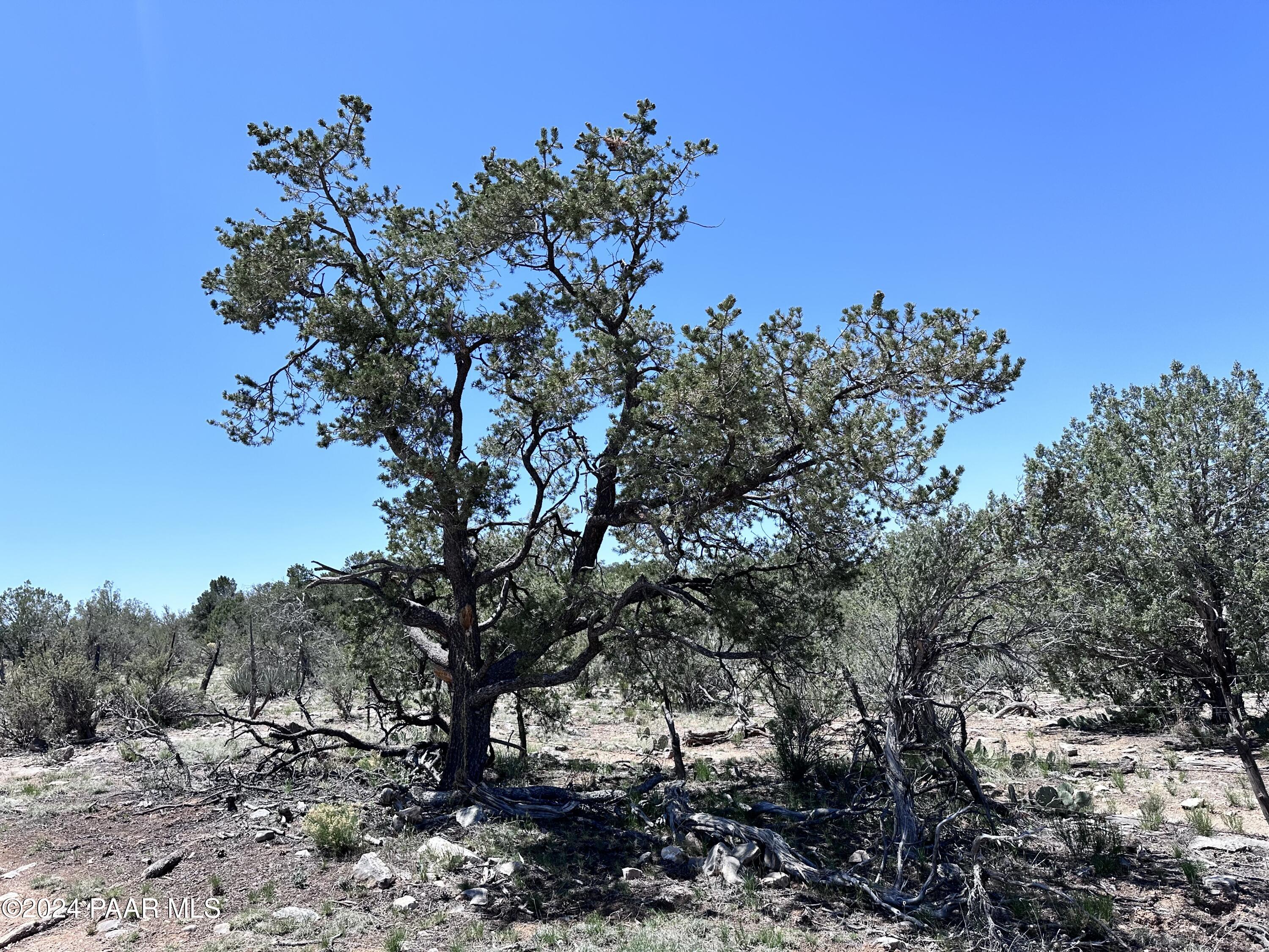 J Peaceful Hill Road Seligman, AZ 86337 - Photo 11 of 16 30130001J N Peaceful Hill Rd6