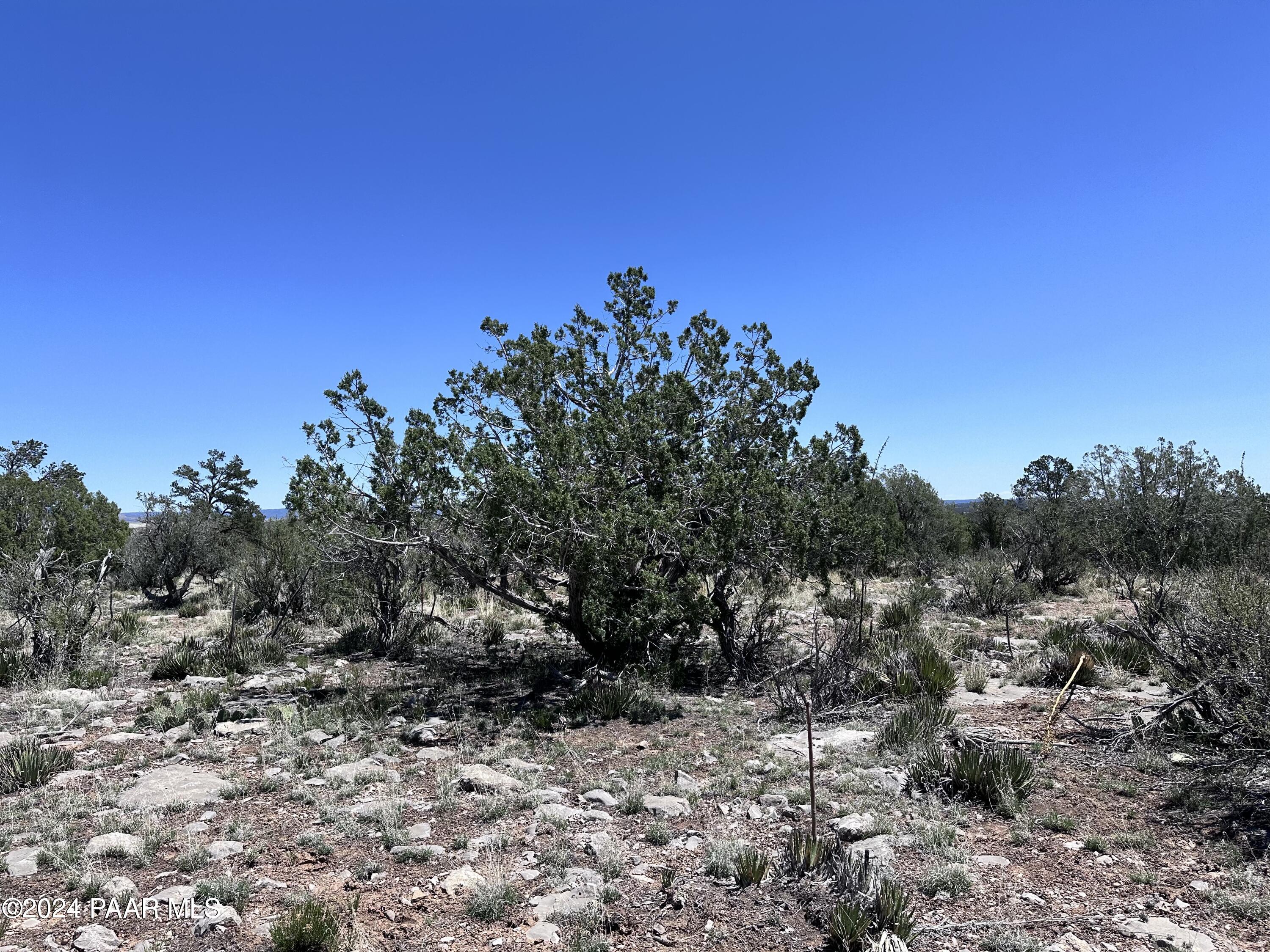 J Peaceful Hill Road Seligman, AZ 86337 - Photo 2 of 16 30130001J N Peaceful Hill Rd15
