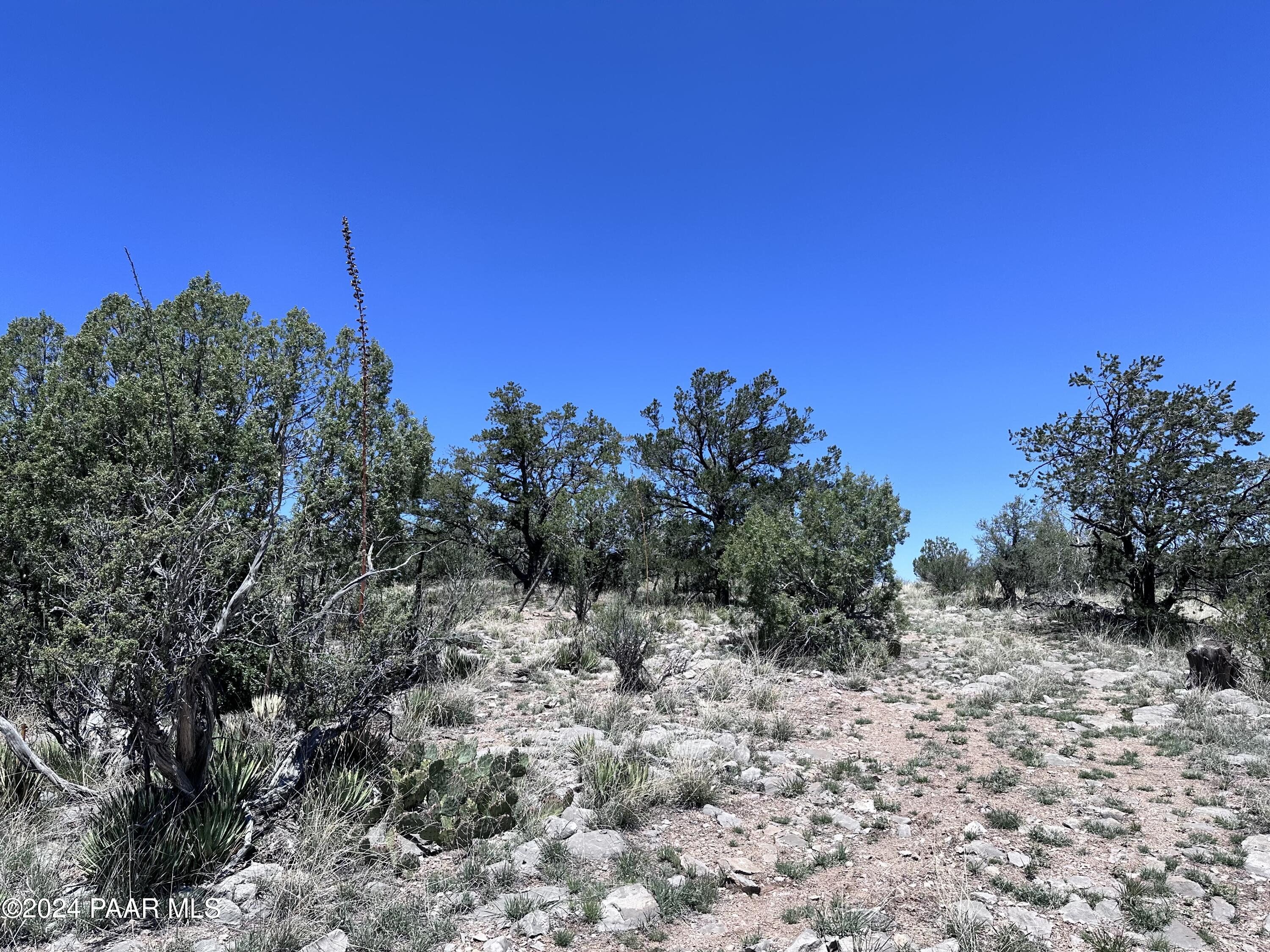 J Peaceful Hill Road Seligman, AZ 86337 - Photo 3 of 16 30130001J N Peaceful Hill Rd14