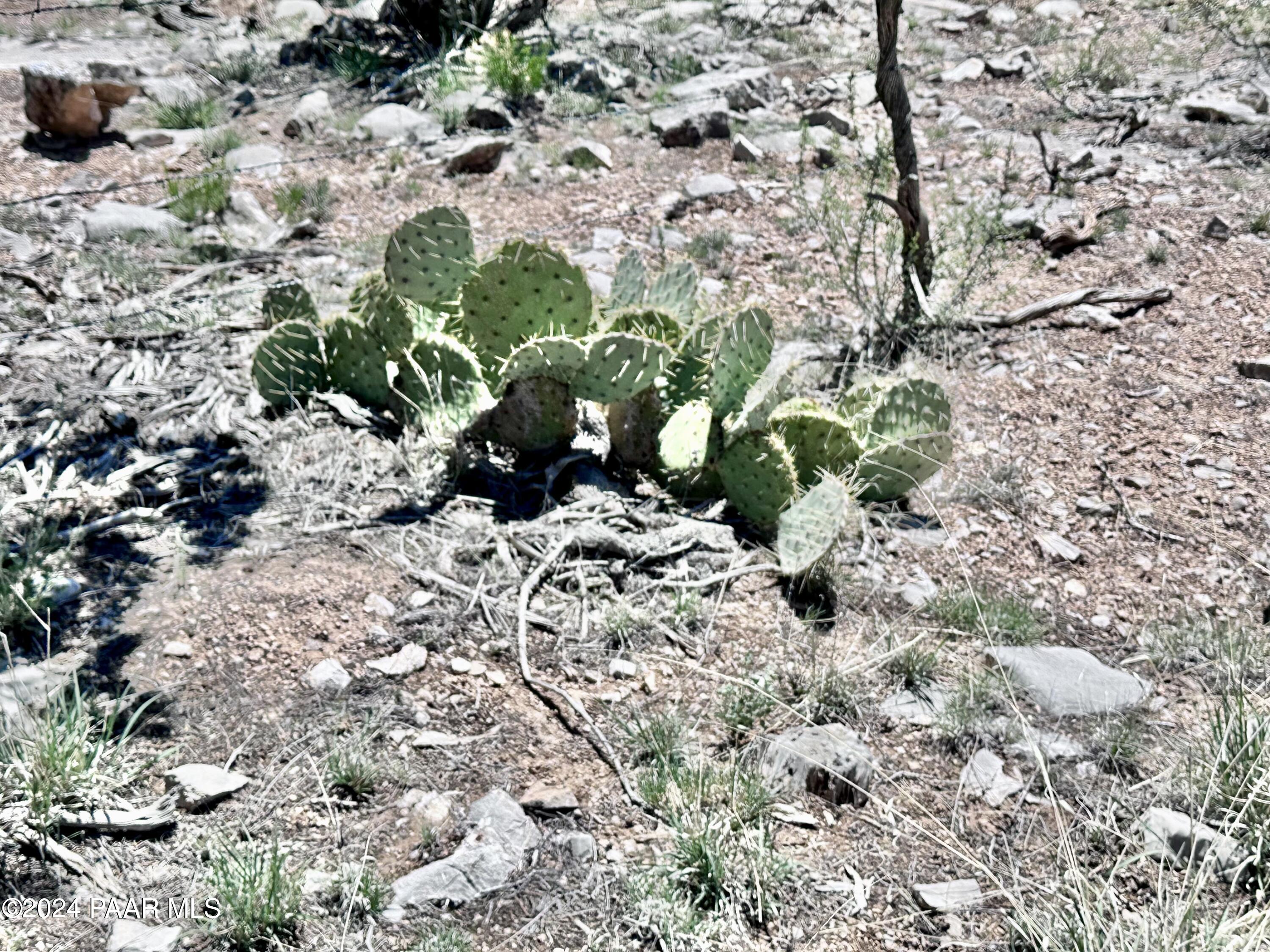 J Peaceful Hill Road Seligman, AZ 86337 - Photo 4 of 16 30130001J N Peaceful Hill Rd13
