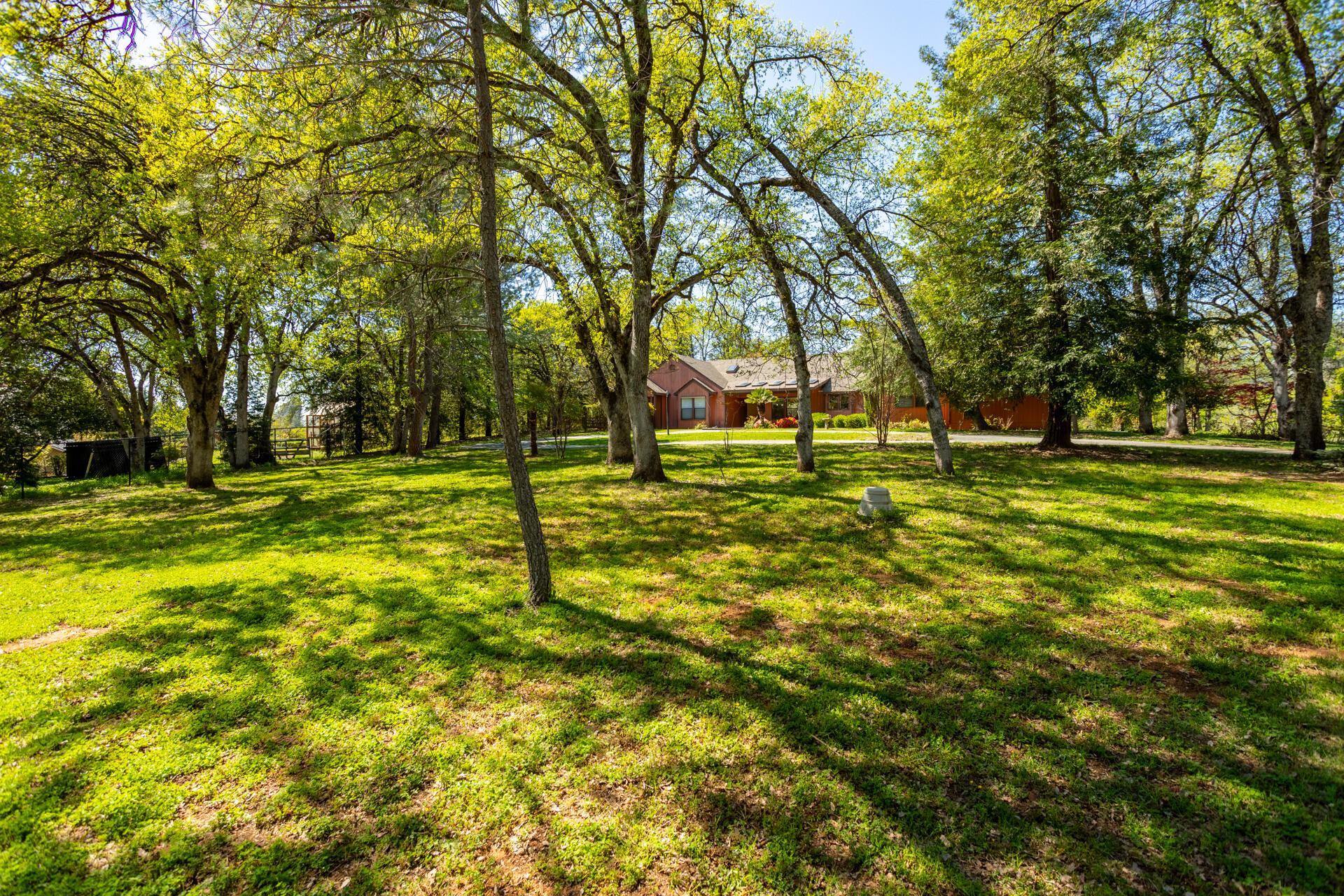 16093 Montgomery Ranch Road Redding, CA 96001 - Photo 27 of 35 Front Yard