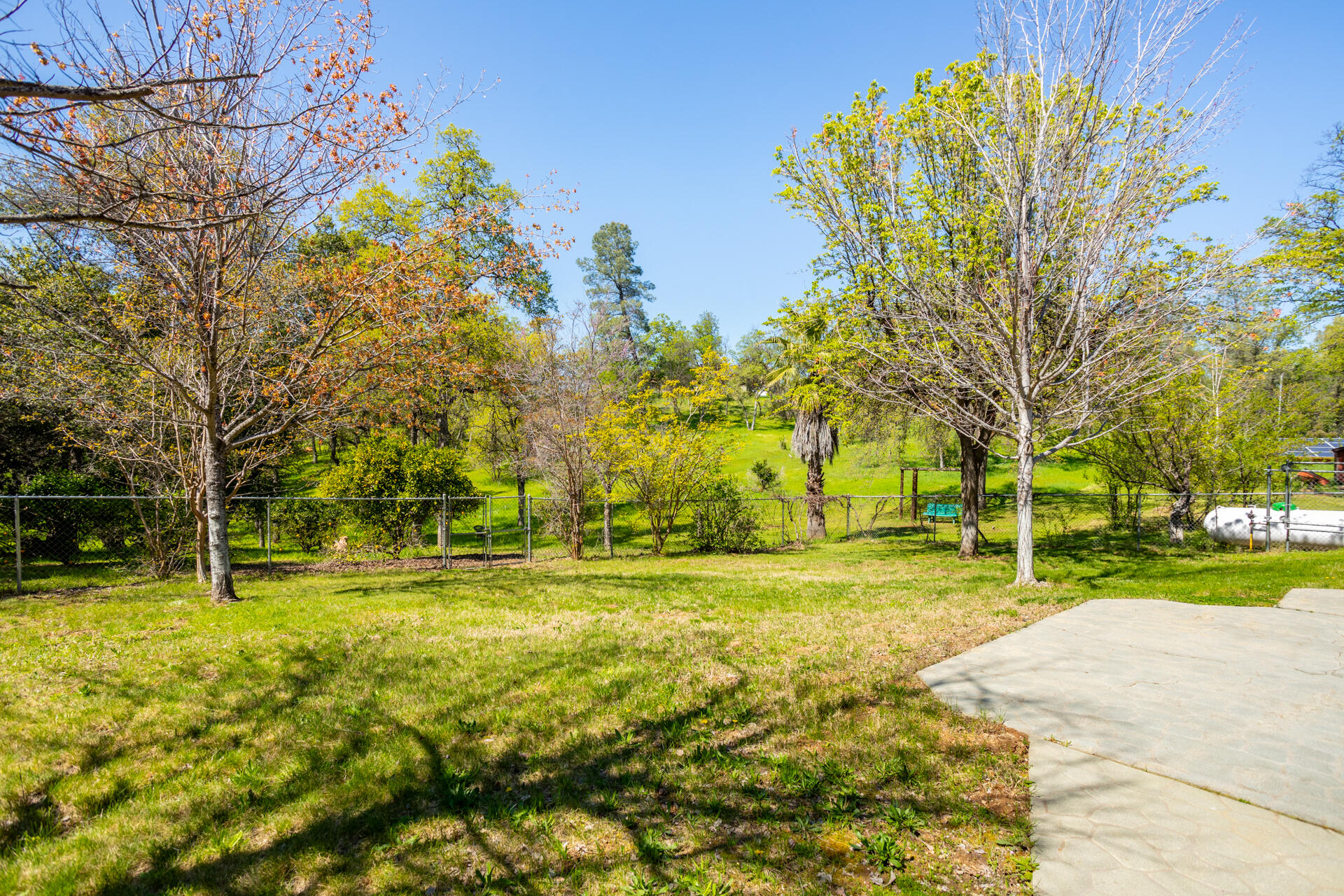 16093 Montgomery Ranch Road Redding, CA 96001 - Photo 29 of 35 Backyard